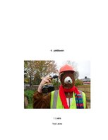 Referāts 'Paradīzes jeb labākas dzīves meklējumu atklāsme V.Lācīša un A.Manfeldes darbos', 35.