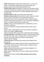 Konspekts 'Ražotāju rīcības teorija. Uzņēmums un uzņēmējdarbība', 3.