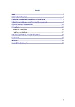 Referāts 'Objektīvās izmeklēšanas principa piemērošanas problemātika administratīvajā proc', 2.