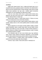 Diplomdarbs 'Interneta aptaujas', 2.