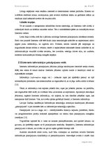 Diplomdarbs 'Interneta aptaujas', 18.