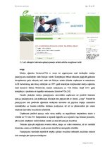 Diplomdarbs 'Interneta aptaujas', 43.