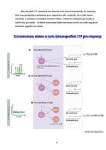 Konspekts 'Dzimumatšķirības farmakokinētikā', 6.