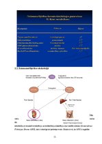 Konspekts 'Dzimumatšķirības farmakokinētikā', 12.
