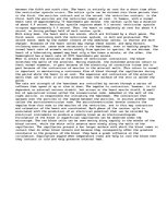 Eseja 'Circulatory System', 2.