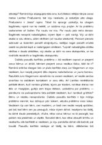 Konspekts 'Alberta Bela darba "Uguns atspīdumi uz olu čaumalām" analīze', 6.