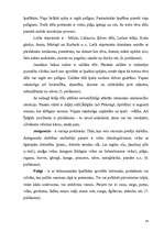 Referāts 'Sīko pirkstu muskulatūras attīstība bērniem no 3-4 gadu vecumam', 14.