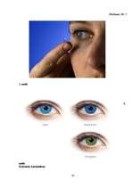 Referāts 'Kontaktlēcas', 24.