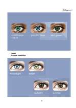 Referāts 'Kontaktlēcas', 25.