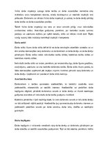 Referāts 'Darba tiesības', 13.