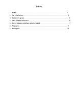 Referāts 'Barbarismi jeb latviešu valodas piesārņojums', 2.