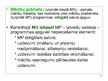 Prezentācija 'I.Dalbiņas, I.Lāčaunieces mācību komplekta "Latviešu valoda" pirmās daļas apskat', 4.