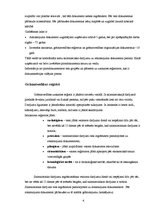 Referāts 'Grāmatvedības darba organizācijasanalīze uzņēmumā "X"', 6.