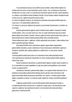 Referāts 'Grāmatvedības darba organizācijasanalīze uzņēmumā "X"', 7.