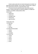 Referāts 'Grāmatvedības darba organizācijasanalīze uzņēmumā "X"', 8.