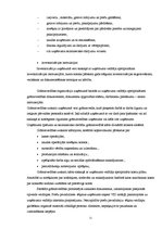 Referāts 'Grāmatvedības darba organizācijasanalīze uzņēmumā "X"', 11.