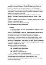 Referāts 'Grāmatvedības darba organizācijasanalīze uzņēmumā "X"', 16.