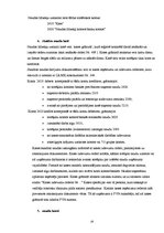 Referāts 'Grāmatvedības darba organizācijasanalīze uzņēmumā "X"', 18.