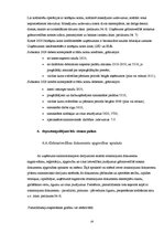 Referāts 'Grāmatvedības darba organizācijasanalīze uzņēmumā "X"', 19.