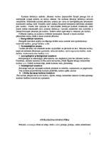 Referāts 'Kultūra un cilvēks', 5.