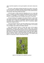 Konspekts 'Dabas liegums - Posolnīca', 2.