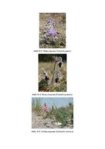 Konspekts 'Dabas liegums - Posolnīca', 3.