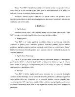 Referāts 'Uzņēmuma "Taco Bell" menedžmenta un SVID analīze', 13.