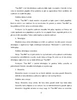 Referāts 'Uzņēmuma "Taco Bell" menedžmenta un SVID analīze', 17.