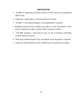 Referāts 'Uzņēmuma "Taco Bell" menedžmenta un SVID analīze', 20.