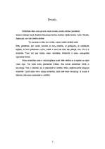 Referāts 'Mīlestības tēma latviešu literatūrā', 2.