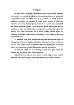 Prakses atskaite 'Lauku kurss zemes zinātnē', 22.