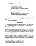 Diplomdarbs 'Reklāmas pielietojuma izpēte un tās efektivitātes novērtējums SIA NNN', 15.