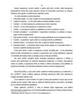 Diplomdarbs 'Reklāmas pielietojuma izpēte un tās efektivitātes novērtējums SIA NNN', 36.