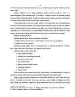 Diplomdarbs 'Reklāmas pielietojuma izpēte un tās efektivitātes novērtējums SIA NNN', 65.