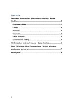 Eseja 'Analītiskais darbs vadībzinībās', 2.