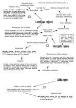 Referāts 'Dabas takas, svētvietas un dabas rezervāti Latvijā', 11.