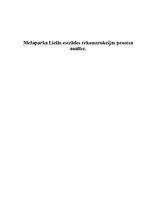 Referāts 'Mežaparka Lielās estrādes rekonstrukcijas procesa analīze', 1.