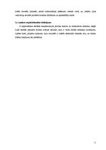 Referāts 'Mežaparka Lielās estrādes rekonstrukcijas procesa analīze', 11.