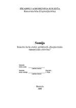 Referāts 'Somija', 1.