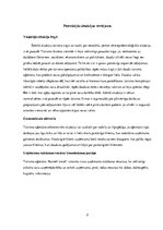 Konspekts 'Biznesa plāns uzņēmumam', 2.