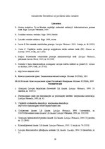 Referāts 'Vienlīdzības principa būtība administratīvajā tiesā', 19.