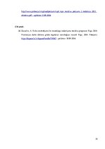 Referāts 'Noziedzīgu nodarījumu recidīvs', 29.