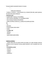 Konspekts 'Ievads tiesību zinātnē 2', 4.