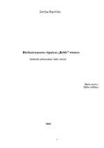 Referāts 'Būvinstrumentu rūpnīcas "Rebir" vēsture', 1.