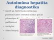 Prezentācija 'Autoimūnais hepatīts', 15.