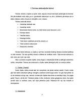 Referāts 'Tūrisms Japānā', 9.