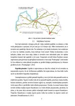 Biznesa plāns 'Industrijas analīze: Komplekss SIA "X"', 8.