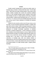 Diplomdarbs 'Brīvprātīgā darba resursu izmantošana sociālajos dienestos', 6.