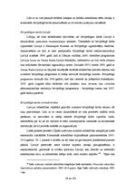 Diplomdarbs 'Brīvprātīgā darba resursu izmantošana sociālajos dienestos', 19.