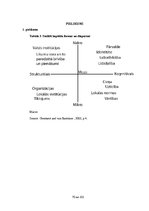 Diplomdarbs 'Brīvprātīgā darba resursu izmantošana sociālajos dienestos', 70.